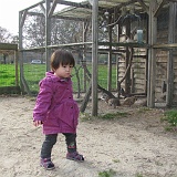 20111105 - Goffert Kinderboerderij